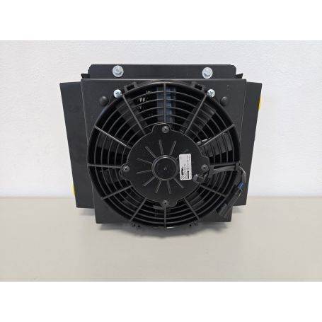 Radiatore 25/3